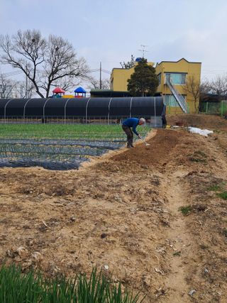 윤문옥님의 자유주제 · 자유게시판 작성글 사진