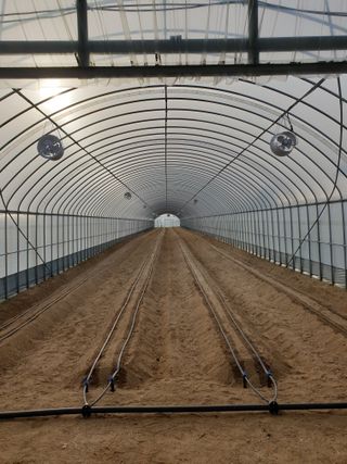 한마음왔다야님의 고추 · 영농일지 작성글 사진