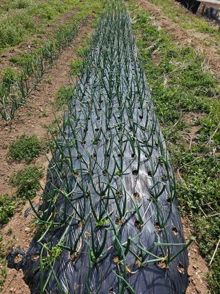 사랑녀님의 자유주제 · 자유게시판 작성글 사진