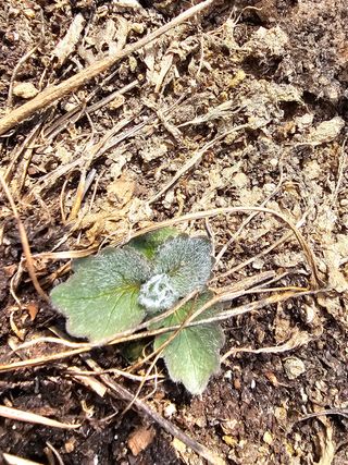 사랑녀님의 자유주제 · 자유게시판 작성글 사진