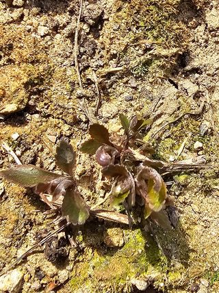 사랑녀님의 자유주제 · 자유게시판 작성글 사진