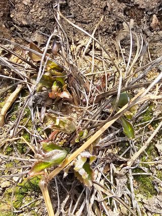 사랑녀님의 자유주제 · 자유게시판 작성글 사진