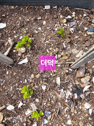 사랑녀님의 자유주제 · 자유게시판 작성글 사진