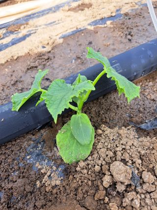 박정규님의 자유주제 · 자유게시판 작성글 사진