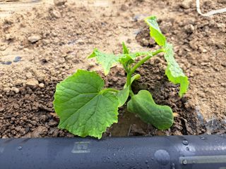 박정규님의 자유주제 · 자유게시판 작성글 사진