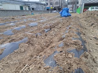 조상희님의 자유주제 · 자유게시판 작성글 사진