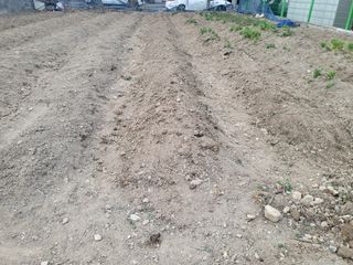 조상희님의 자유주제 · 자유게시판 작성글 사진