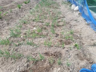 조상희님의 자유주제 · 자유게시판 작성글 사진