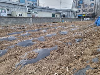 조상희님의 자유주제 · 자유게시판 작성글 사진