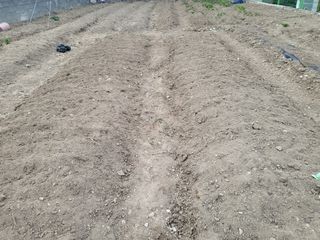 조상희님의 자유주제 · 자유게시판 작성글 사진