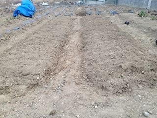 조상희님의 자유주제 · 자유게시판 작성글 사진