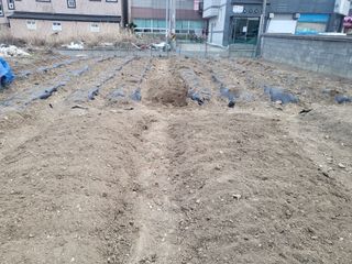 조상희님의 자유주제 · 자유게시판 작성글 사진