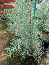 팜모닝 · 게시글 이미지