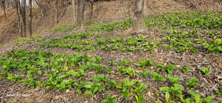 해오름달님의 자유주제 · 자유게시판 작성글 사진