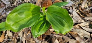 해오름달님의 자유주제 · 자유게시판 작성글 사진