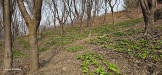 해오름달님의 자유주제 · 자유게시판 작성글 사진