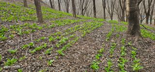 해오름달님의 자유주제 · 자유게시판 작성글 사진