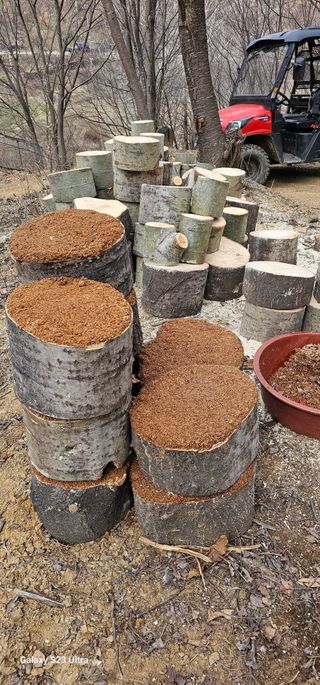 해오름달님의 자유주제 · 자유게시판 작성글 사진