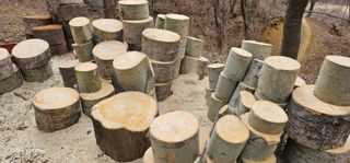 해오름달님의 자유주제 · 자유게시판 작성글 사진