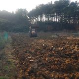 팜모닝 들깨·영농일지 게시글 이미지