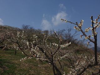 다온아띠농원 장현호님의 자유주제 · 자유게시판 작성글 사진