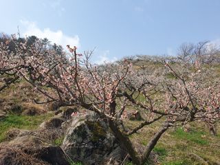 다온아띠농원 장현호님의 자유주제 · 자유게시판 작성글 사진