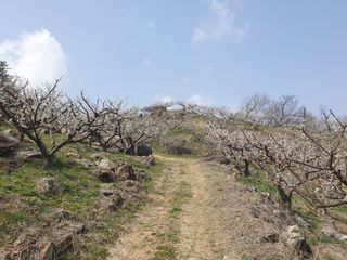 다온아띠농원 장현호님의 자유주제 · 자유게시판 작성글 사진