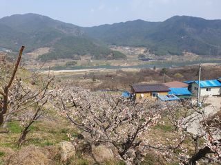 다온아띠농원 장현호님의 자유주제 · 자유게시판 작성글 사진