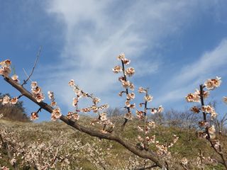 다온아띠농원 장현호님의 자유주제 · 자유게시판 작성글 사진