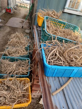 이연화님의 자유주제 · 자유게시판 작성글 사진