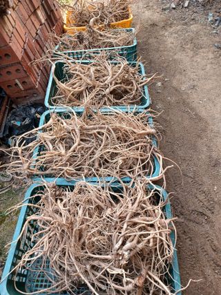 이연화님의 자유주제 · 자유게시판 작성글 사진