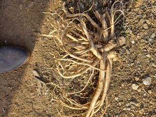 이연화님의 자유주제 · 자유게시판 작성글 사진