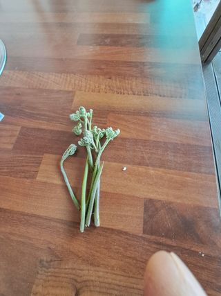 양전호님의 자유주제 · 자유게시판 작성글 사진