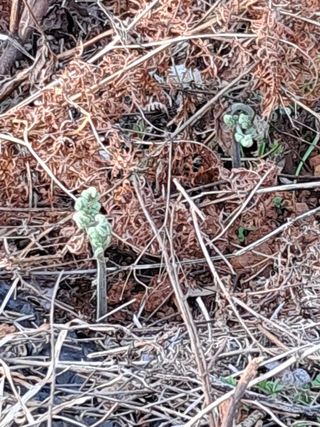 양전호님의 자유주제 · 자유게시판 작성글 사진