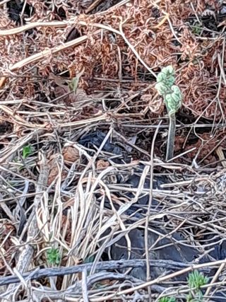 양전호님의 자유주제 · 자유게시판 작성글 사진