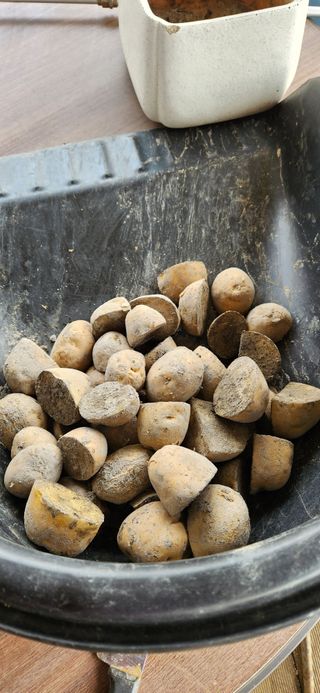 강병택님의 감자 · 영농일지 작성글 사진