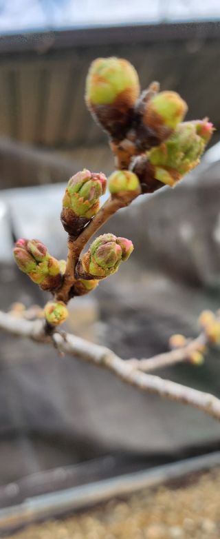 율촌 김은숙님의 자유주제 · 사진전 작성글 사진