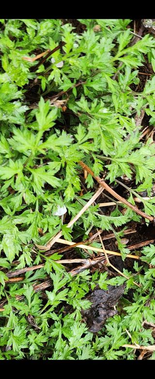 율촌 김은숙님의 자유주제 · 사진전 작성글 사진