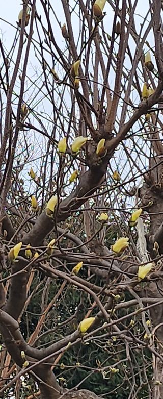 율촌 김은숙님의 자유주제 · 사진전 작성글 사진