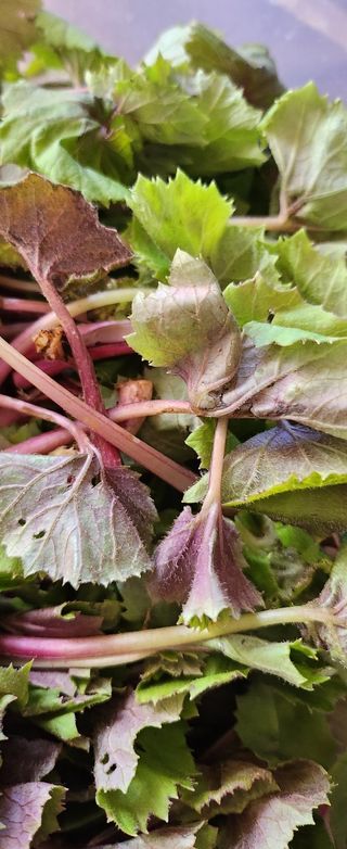 율촌 김은숙님의 자유주제 · 사진전 작성글 사진