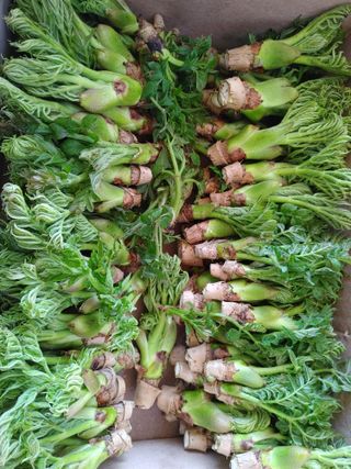 노오길님의 자유주제 · 자유게시판 작성글 사진