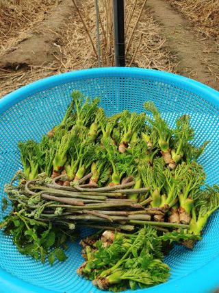 노오길님의 자유주제 · 자유게시판 작성글 사진