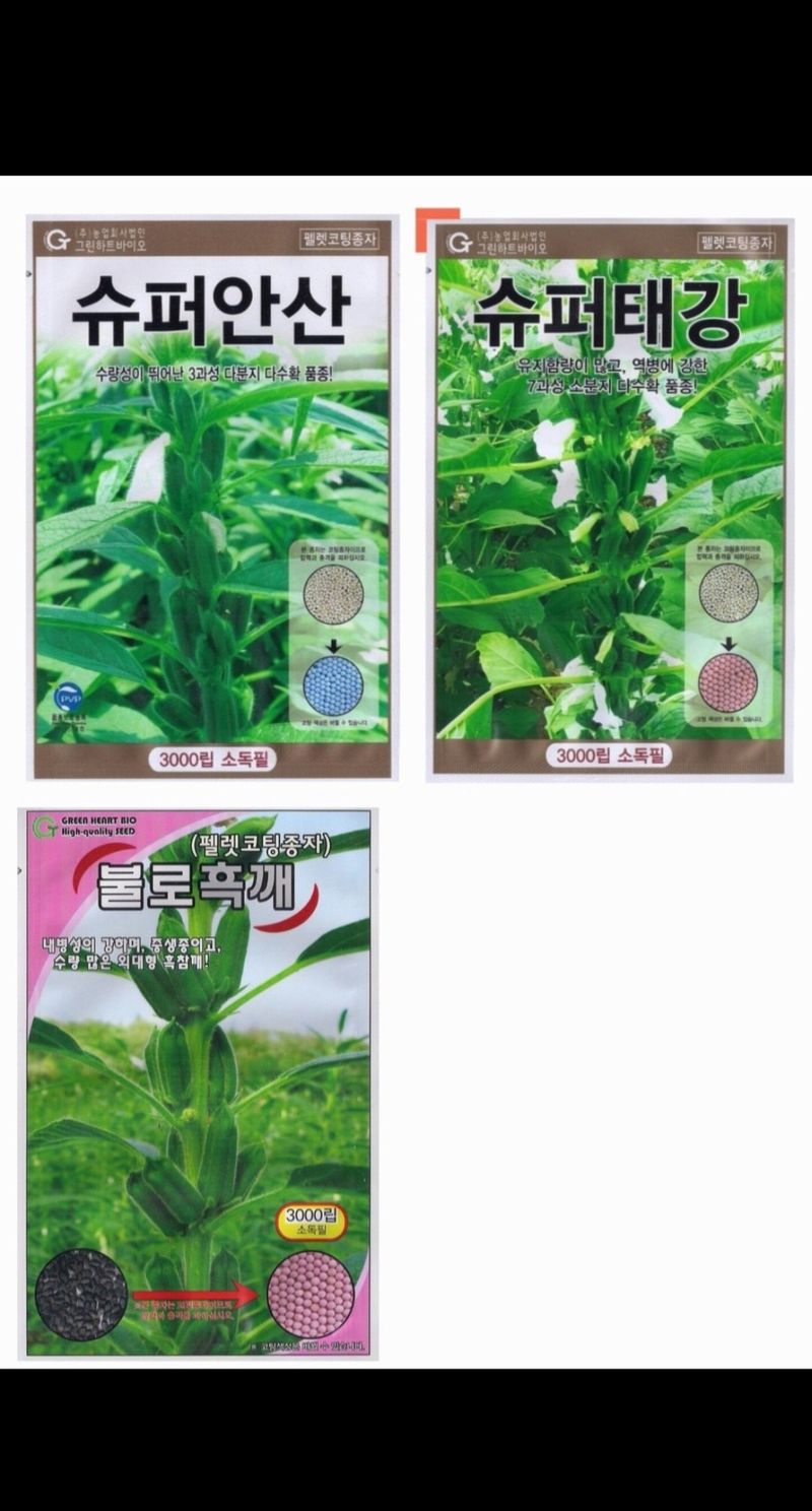 장터 상품 [[참깨씨앗] 참깨씨앗 정품] 썸네일