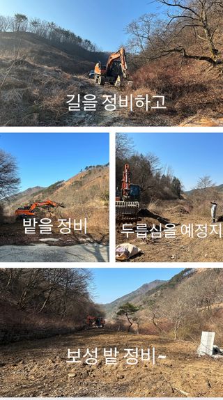 치유숲모이라양재순님의 두릅 · 영농일지 작성글 사진