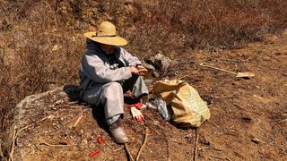 치유숲모이라양재순님의 두릅 · 영농일지 작성글 사진