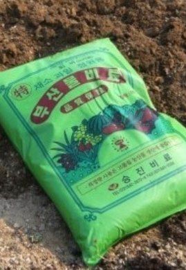 대산농사대장님의 감자 · 자유게시판 작성글 사진