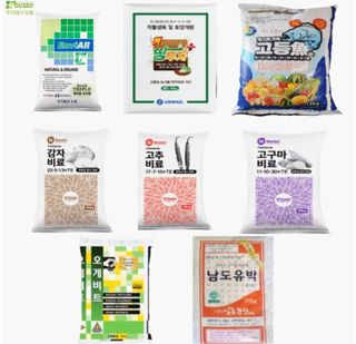 대산농사대장님의 감자 · 자유게시판 작성글 사진