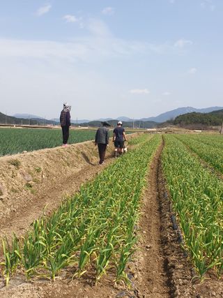 인도공주님의 자유주제 · 사진전 작성글 사진