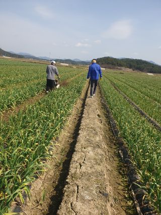 인도공주님의 자유주제 · 사진전 작성글 사진