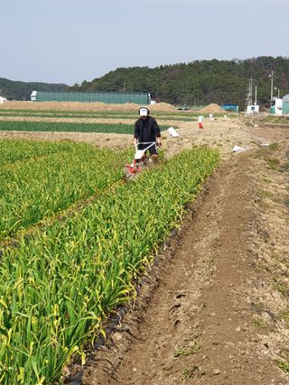 인도공주님의 자유주제 · 사진전 작성글 사진